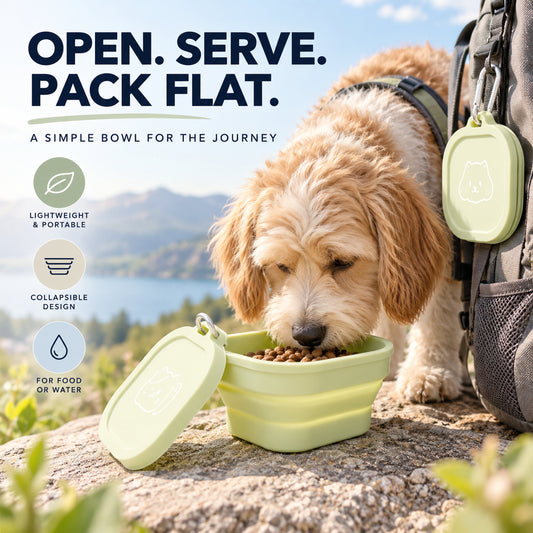 Covered 400 ml Collapsible Silicone Pet Bowl, 4 Colors & 2 Designs, By GAVPEPY image 2 - 01-Overview.jpg
