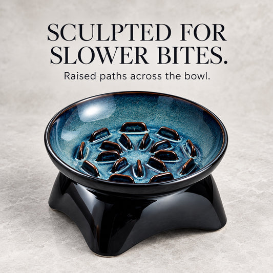 GAVPEPY Blue Glazed Ceramic Raised Slow Feeder Bowl, 20.2 x 11.9 x 10.4 cm, Blue, for Everyday Dog and Cat Meals or Water at Home, angled raised bowl with molded internal ridges; a patterned surface separates portions across the bowl image 2 - 1.jpg