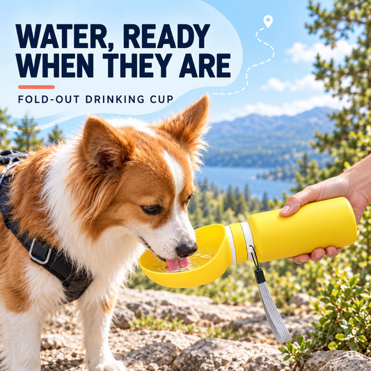 Foldable Silicone Travel Dog Water Bottle, 550 mL, 4 Options, By GAVPEPY image 2 - 1.jpg