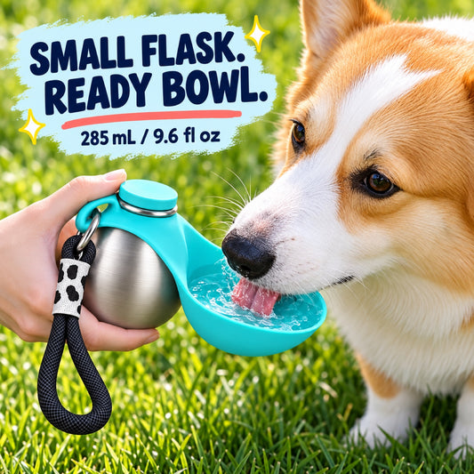 304 Stainless Steel Pet Water Bottle with Foldable Bowl, 285 mL, By GAVPEPY image 2 - 1.jpg