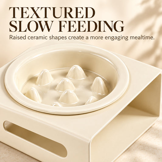 GAVPEPY Ceramic Slow Feeder Bowl and Stand, 13.5 x 13.5 x 3.5 cm bowl, nine bowl-and-stand color combinations, for Everyday Dog and Cat Meals or Water at Home, raised feeding pattern in a small matching stand; a patterned surface separates portions image 2 - 1.jpg
