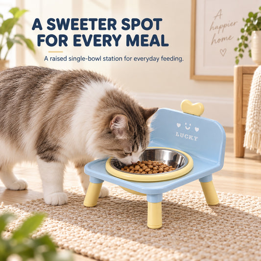 Raised Stainless Steel Pet Bowl, 4 Colors, By GAVPEPY image 2 - 1.jpg