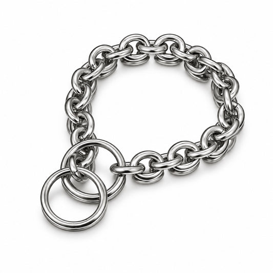 GAVPEPY Stainless Steel Chain Dog Collar, 8 size options, as pictured, for daily dog walks and outdoor wear; adjustable neckwear with the selected finish and fit shown in the product photos; review the selected variant photo for details image 2 - main.jpg
