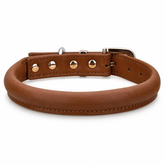 GAVPEPY Leather-style material Padded Dog Collar, Sizes S, M, L, XL, Brown, White, Black, for neighborhood walks, park visits and daily dog wear; an adjustable neckwear option for supervised walks and everyday outings image 2 - main.jpg