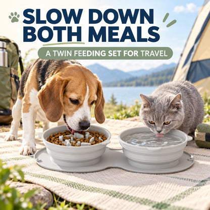 Collapsible Silicone Double Slow-Feeder Pet Bowl, By GAVPEPY image 2 - 01-Overview.jpg