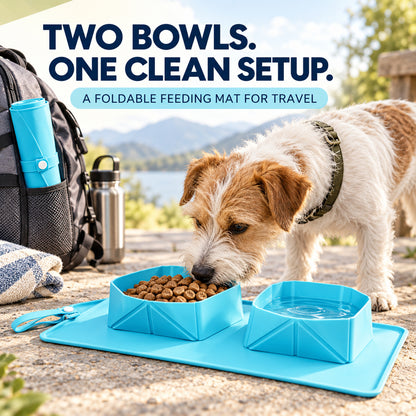 Foldable Silicone Double-Bowl Feeding Mat, 3 Colors & 2 Sizes, By GAVPEPY image 2 - 01-Overview.jpg