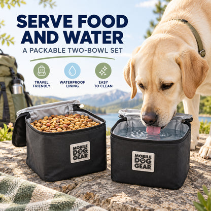 Foldable Oxford Fabric Double Pet Travel Bowl, By GAVPEPY image 2 - 01-Overview.jpg