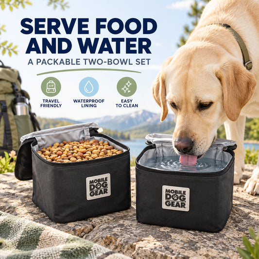 Foldable Oxford Fabric Double Pet Travel Bowl, By GAVPEPY image 2 - 01-Overview.jpg