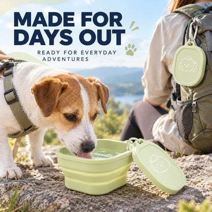 Covered 400 ml Collapsible Silicone Pet Bowl, 4 Colors & 2 Designs, By GAVPEPY image 6 - 05-Travel-Ready.jpg