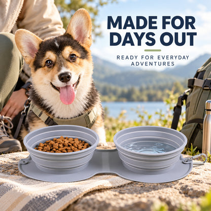 Collapsible Silicone Double Pet Travel Bowl, 3 Colors, By GAVPEPY image 6 - 05-Travel-Ready.jpg