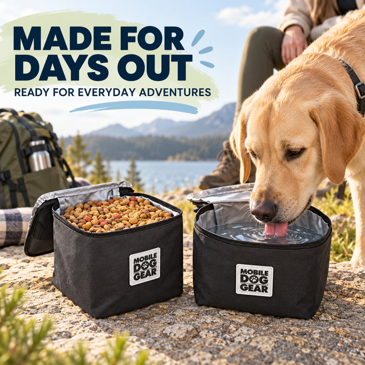 Foldable Oxford Fabric Double Pet Travel Bowl, By GAVPEPY image 6 - 05-Travel-Ready.jpg