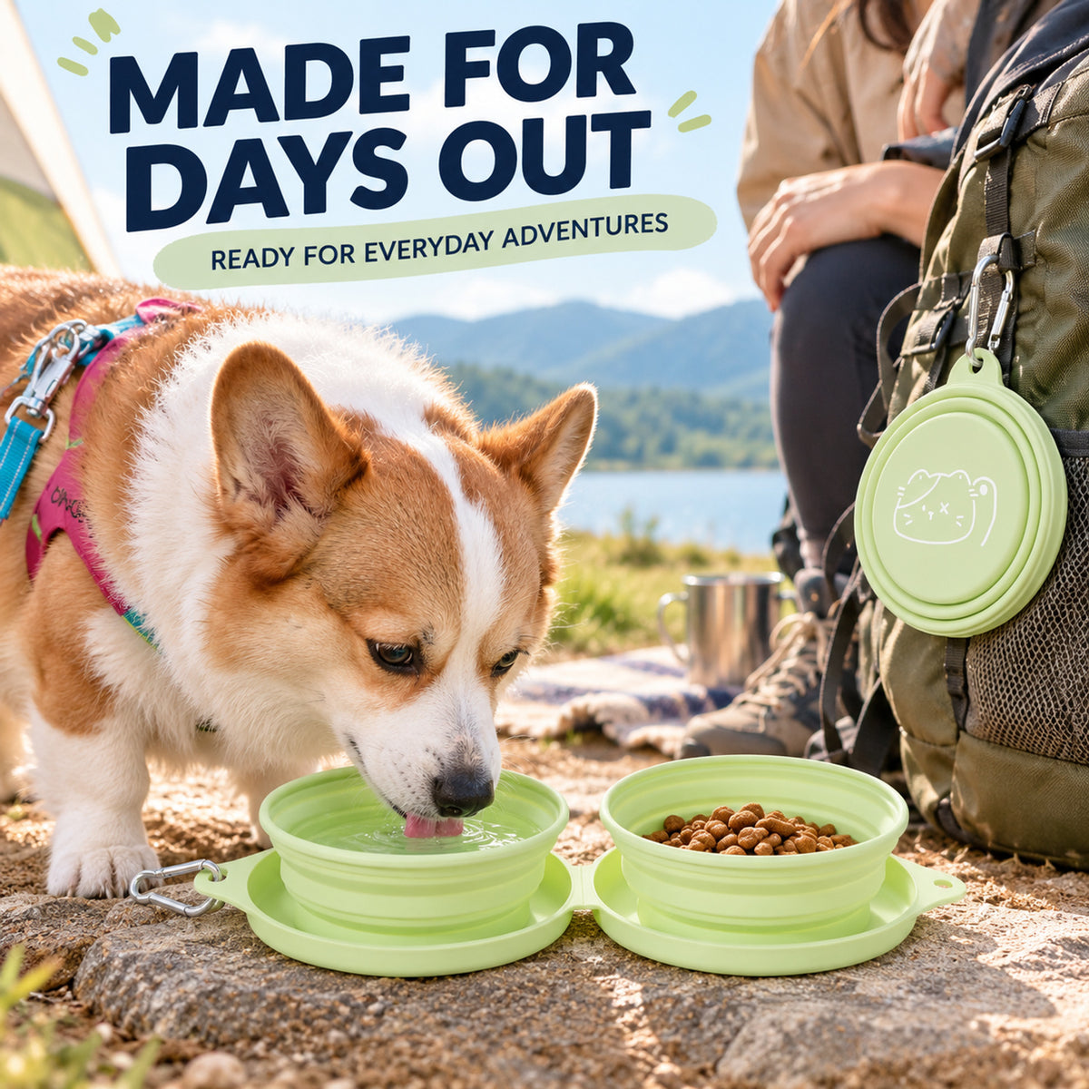 Collapsible Silicone Pet Travel Bowls, 33 Styles, By GAVPEPY image 6 - 05-Travel-Ready.jpg
