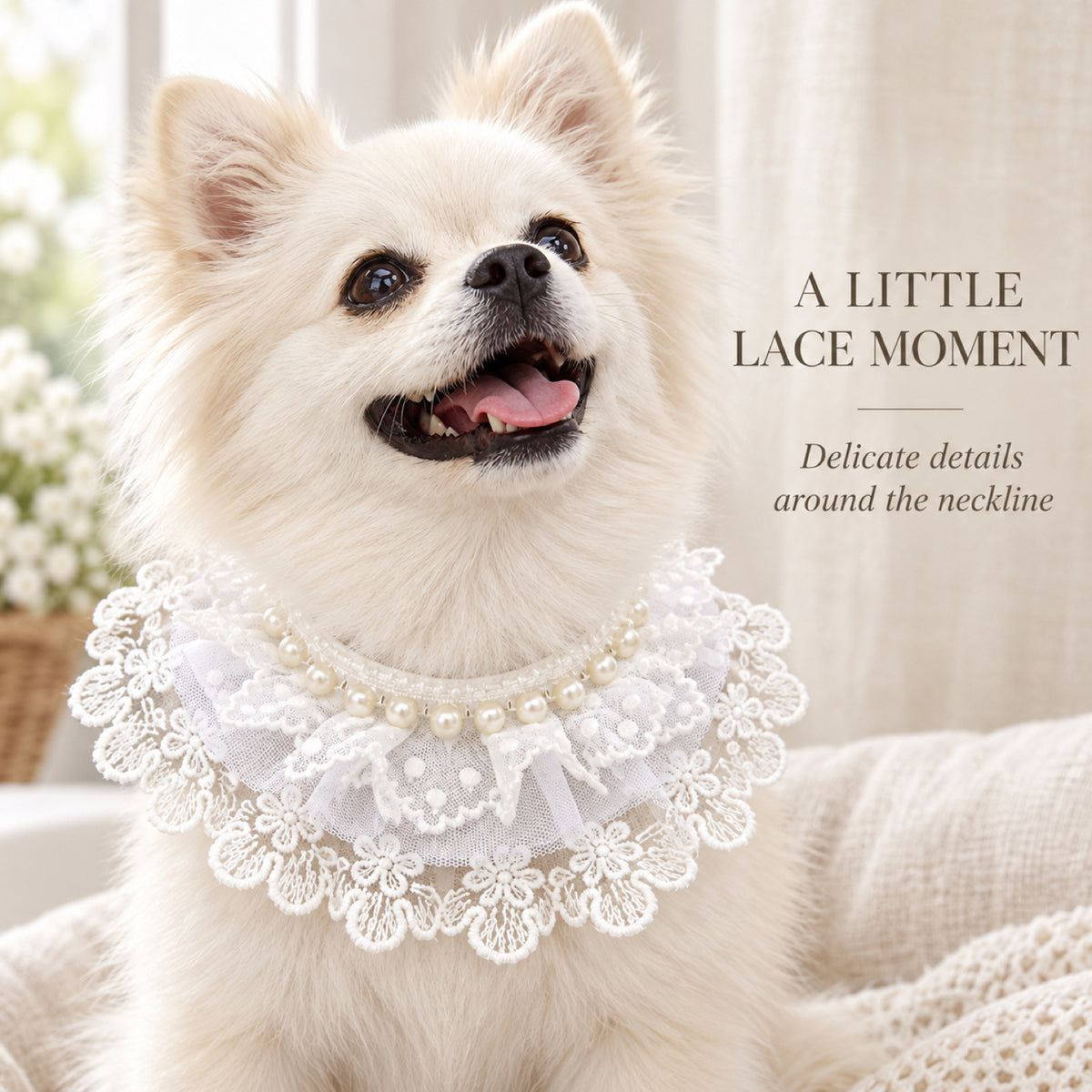GAVPEPY Lace-Trim Pet Collar Bib, Sizes XS, S, M, L, XL, White, for pet photos, outings and celebrations; decorative neckwear with the selected print and fit shown in the product photos; review the selected variant photo for details image 5 - 05-白犬佩戴.jpg