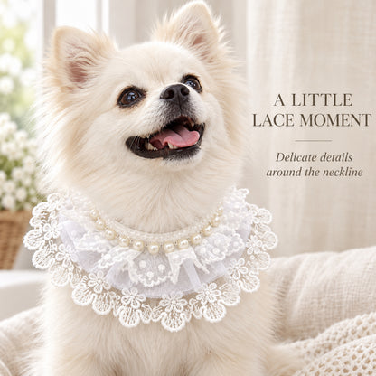 GAVPEPY Lace-Trim Pet Collar Bib, Sizes XS, S, M, L, XL, White, for pet photos, outings and celebrations; decorative neckwear with the selected print and fit shown in the product photos; review the selected variant photo for details image 5 - 05-白犬佩戴.jpg