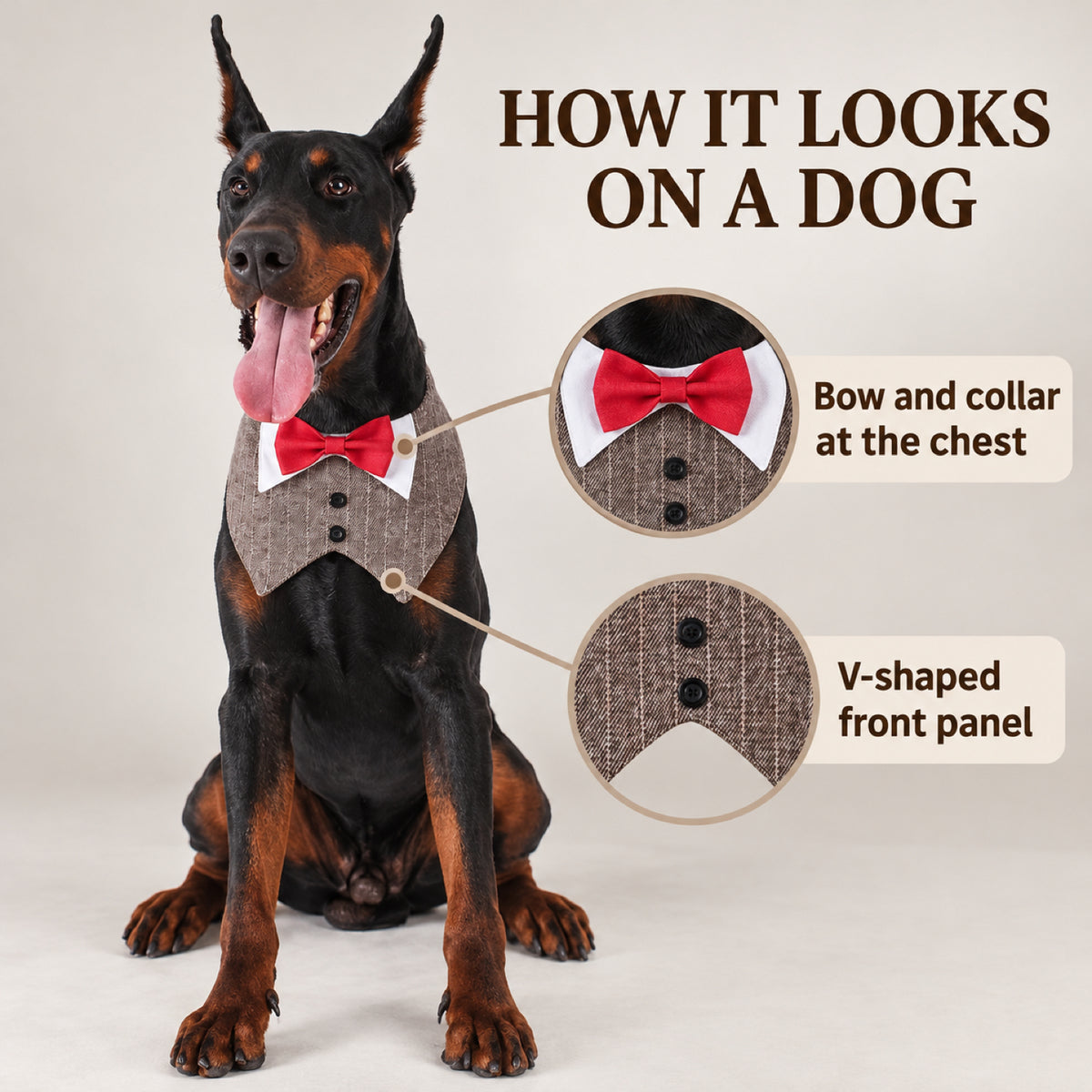 GAVPEPY Polyester Tuxedo Bow Pet Bib, Sizes XS, S, M, L, XL, Green Stripe, Dark Gray Stripe, Coffee Stripe, for photos, celebrations, walks and everyday pet outfits; a neckwear accessory for everyday outfits, portraits and special occasions image 5 - 05-佩戴位置.jpg