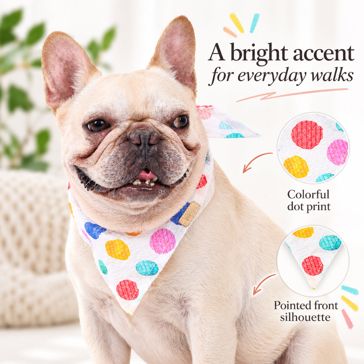 GAVPEPY Cotton Rainbow Dot Pet Bandana, Sizes S, L, as pictured, for pet photos, outings and celebrations; decorative neckwear with the selected print and fit shown in the product photos; review the selected variant photo for details image 5 - 05-法斗佩戴.jpg