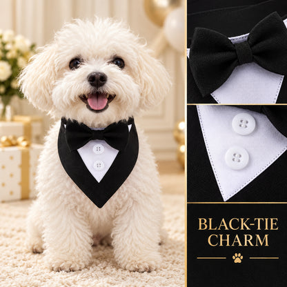 GAVPEPY Cotton Formal Tuxedo Pet Bib, Sizes XS, S, M, L, XL, Black, White, for photos, celebrations, walks and everyday pet outfits; a neckwear accessory for everyday outfits, portraits and special occasions image 5 - 05-黑款佩戴.jpg