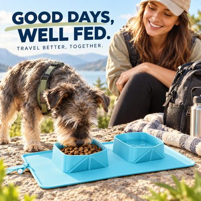 Foldable Silicone Double-Bowl Feeding Mat, 3 Colors & 2 Sizes, By GAVPEPY image 7 - 06-Lifestyle.jpg