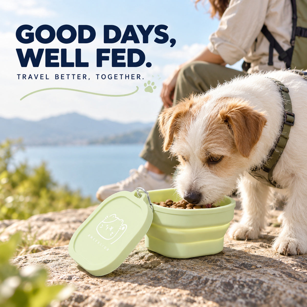Covered 400 ml Collapsible Silicone Pet Bowl, 4 Colors & 2 Designs, By GAVPEPY image 7 - 06-Lifestyle.jpg