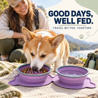 Collapsible Slow-Feeder Pet Travel Bowl, 3 Colors, By GAVPEPY image 7 - 06-Lifestyle.jpg