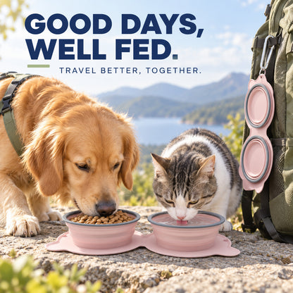 Twin Collapsible Silicone Pet Travel Bowls, 7 Colors, By GAVPEPY image 7 - 06-Lifestyle.jpg