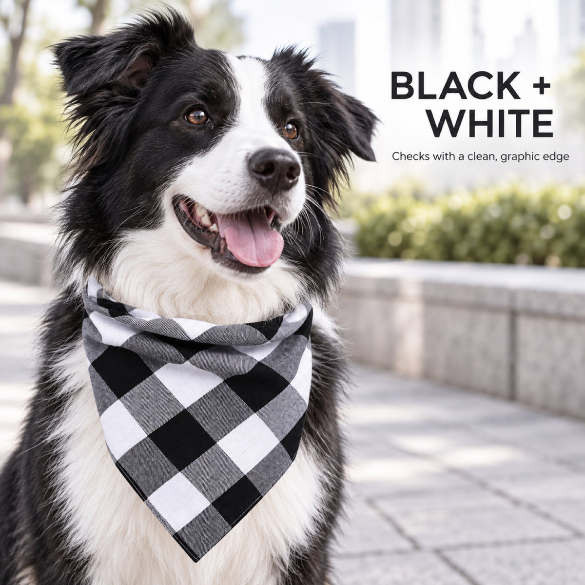 GAVPEPY Cotton-linen blend Gingham Pet Bandana, Sizes Small, Large, Red, White, for photos, celebrations, walks and everyday pet outfits; a neckwear accessory for everyday outfits, portraits and special occasions image 6 - 06-黑白佩戴.jpg