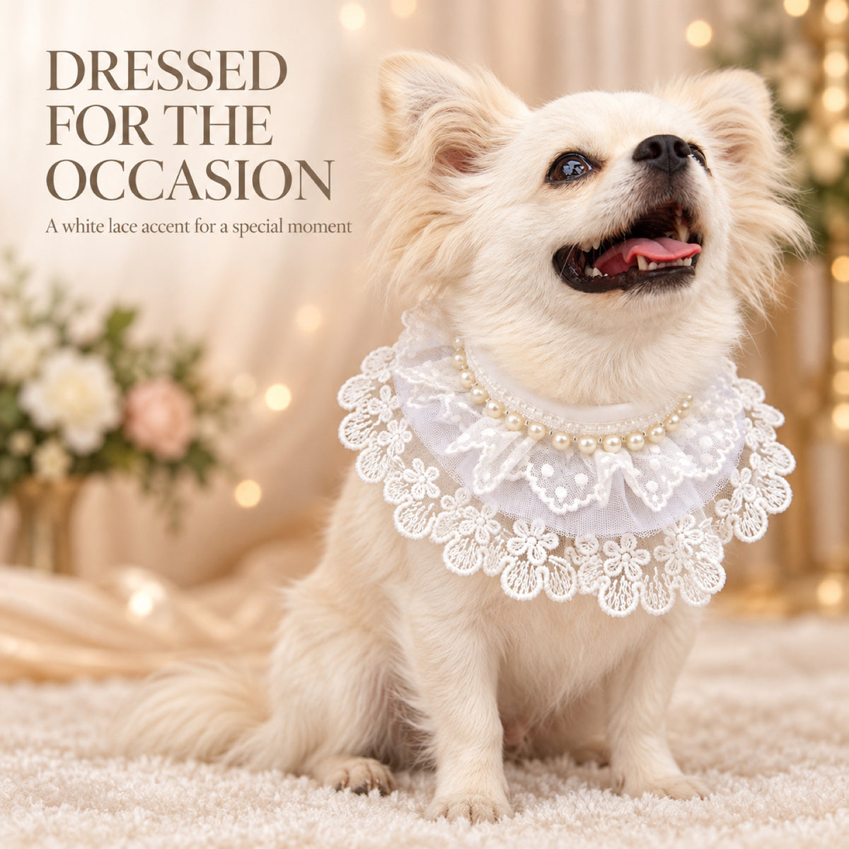 GAVPEPY Lace-Trim Pet Collar Bib, Sizes XS, S, M, L, XL, White, for pet photos, outings and celebrations; decorative neckwear with the selected print and fit shown in the product photos; review the selected variant photo for details image 6 - 06-礼仪造型.jpg