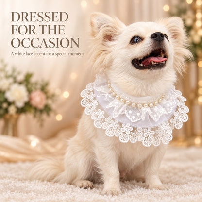 GAVPEPY Lace-Trim Pet Collar Bib, Sizes XS, S, M, L, XL, White, for pet photos, outings and celebrations; decorative neckwear with the selected print and fit shown in the product photos; review the selected variant photo for details image 6 - 06-礼仪造型.jpg
