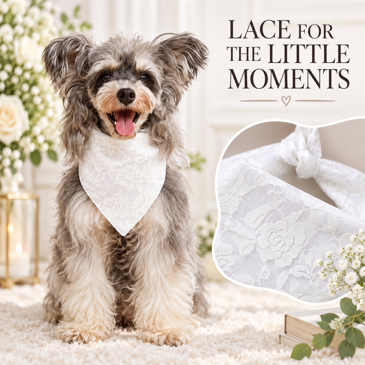 GAVPEPY Cotton Formal Tuxedo Pet Bib, Sizes XS, S, M, L, XL, Black, White, for photos, celebrations, walks and everyday pet outfits; a neckwear accessory for everyday outfits, portraits and special occasions image 6 - 06-白蕾丝佩戴.jpg
