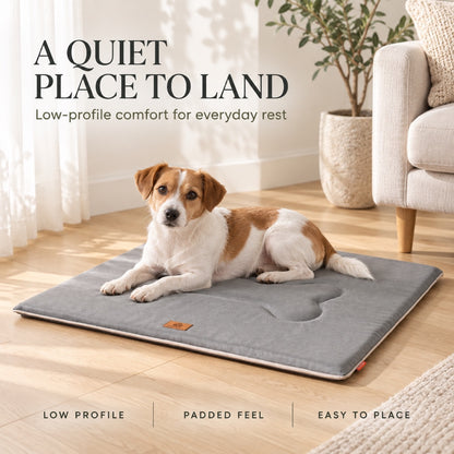 Thick Waterproof Oxford Fabric Pet Mat, 2 Colors & 4 Sizes, By GAVPEPY image 2 - 1.jpg