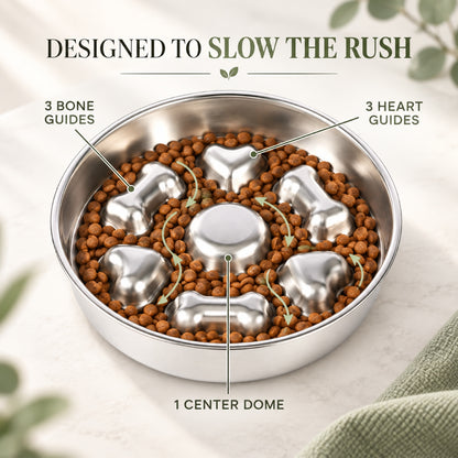 Round Bone-Print Stainless Steel Slow Feeder Bowl, 3 Base Options, By GAVPEPY image 2 - 1.jpg
