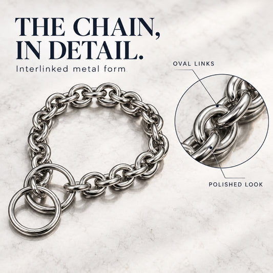 GAVPEPY Stainless Steel Chain Dog Collar, 8 size options, as pictured, for daily dog walks and outdoor wear; adjustable neckwear with the selected finish and fit shown in the product photos; review the selected variant photo for details image 1 - 1.jpg