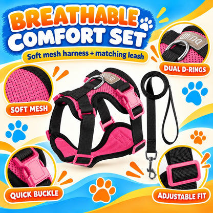 Breathable Mesh Dog Harness and Leash Set, 6 Colors and 4 Sizes, By GAVPEPY image 2 - 1.jpg