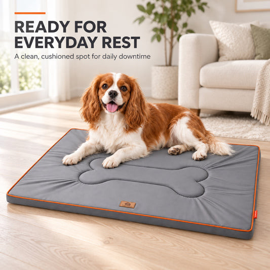 Oxford Fabric Pet Mat with Bone Stitching, 2 Colors & 4 Sizes, By GAVPEPY image 2 - 1.jpg