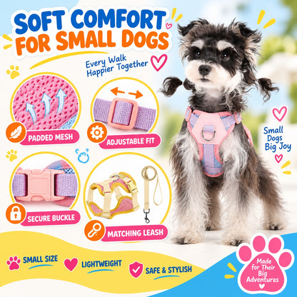 Padded Small Dog Harness and Leash Set, 6 Colors and 4 Sizes, By GAVPEPY image 2 - 1.jpg