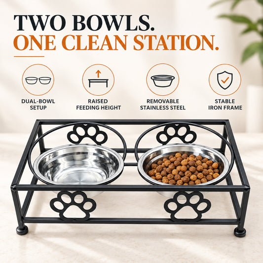 Raised Stainless Steel Double Pet Bowl with Stand, By GAVPEPY image 2 - 1.jpg