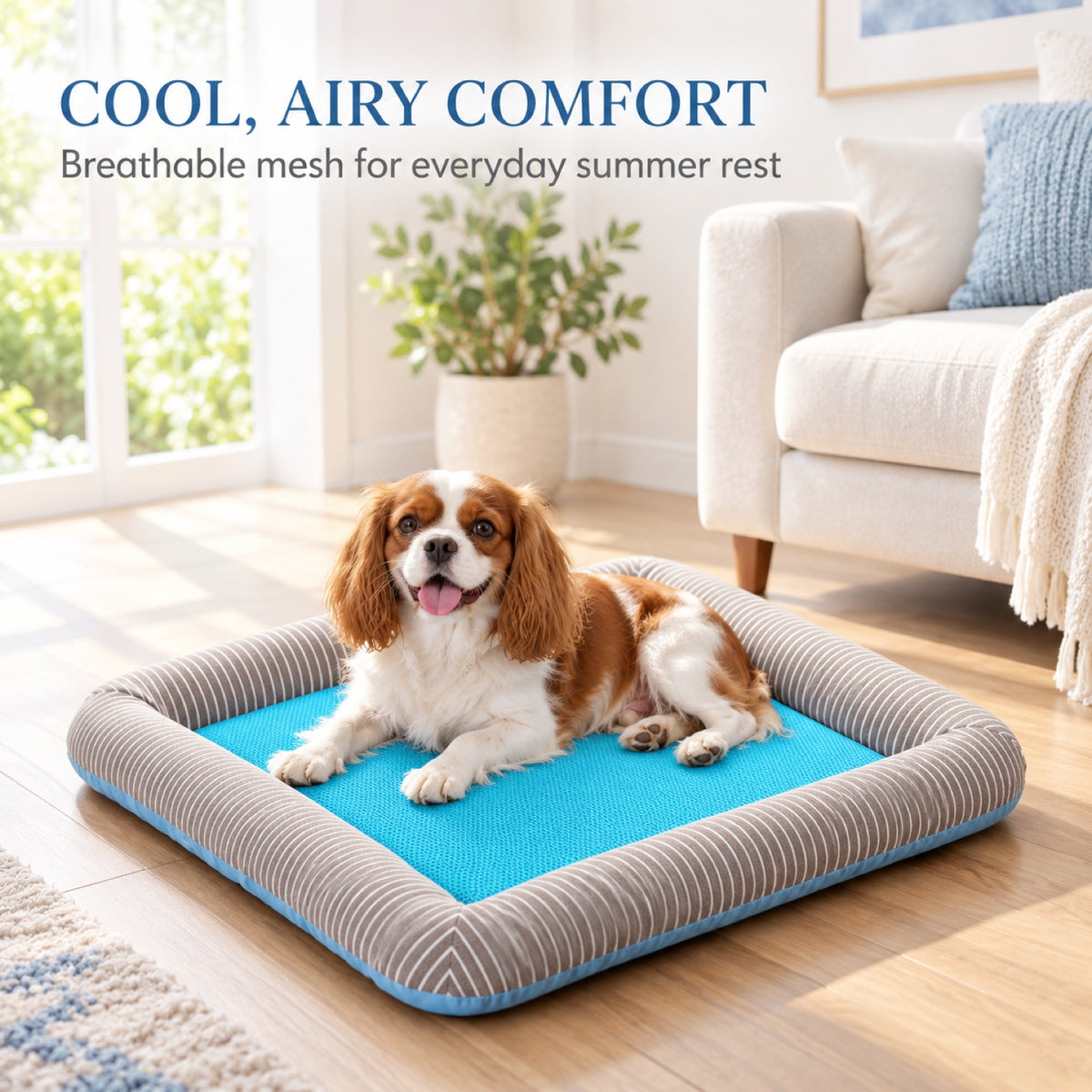 Breathable Mesh Cooling Pet Bed, 4 Patterns & 4 Sizes, By GAVPEPY image 2 - 1.jpg