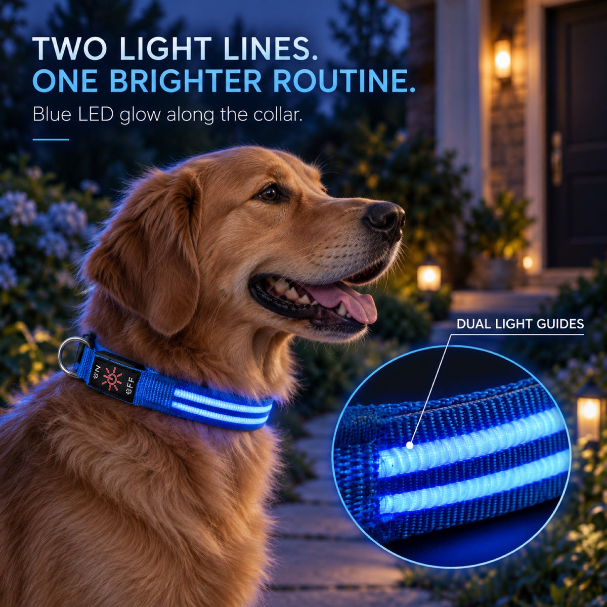 GAVPEPY Woven webbing LED Light-Up Dog Collar, Sizes S, M, L, Red, Green, Blue, Pink, for neighborhood walks, park visits and daily dog wear; an adjustable neckwear option for supervised walks and everyday outings image 1 - 1.jpg