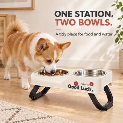 Raised Stainless Steel Double Pet Bowl, 3 Colors, By GAVPEPY image 2 - 1.jpg
