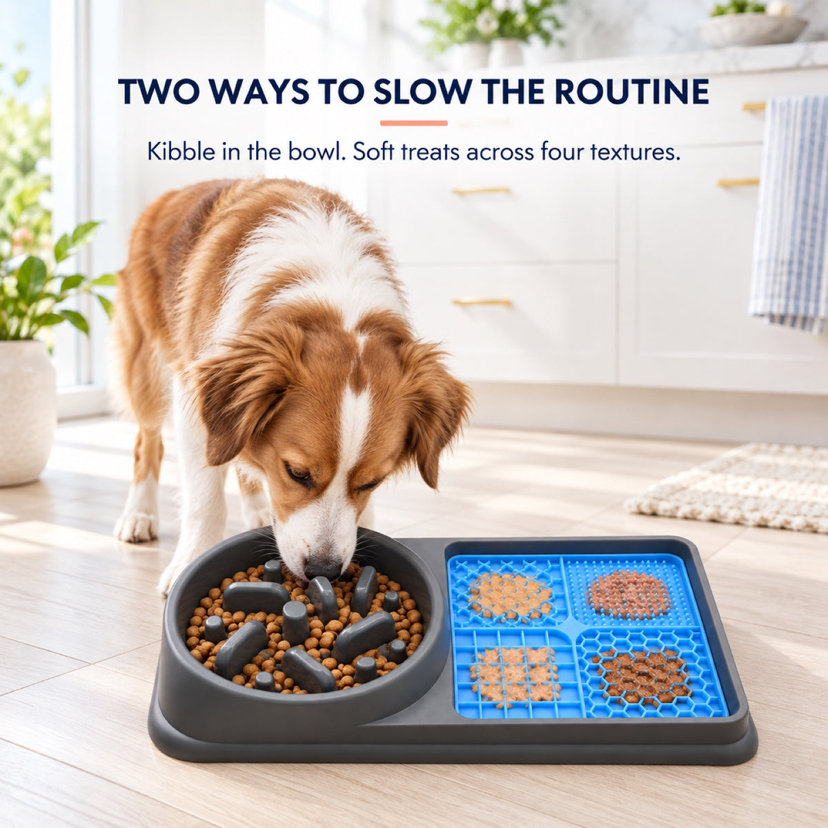 Non-Slip PP Pet Slow Feeder Bowl, 2 Colors, By GAVPEPY image 2 - 1.jpg