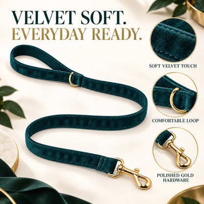 Velvet Dog Leash, 36 Colors and 5 Sizes, By GAVPEPY image 2 - 1.jpg
