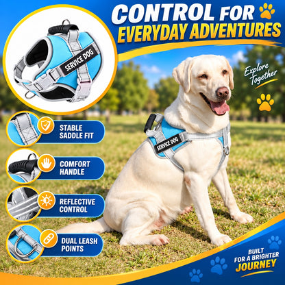 Reflective Dog Harness and Leash Set, 6 Colors and 6 Sizes, By GAVPEPY image 2 - 1.jpg
