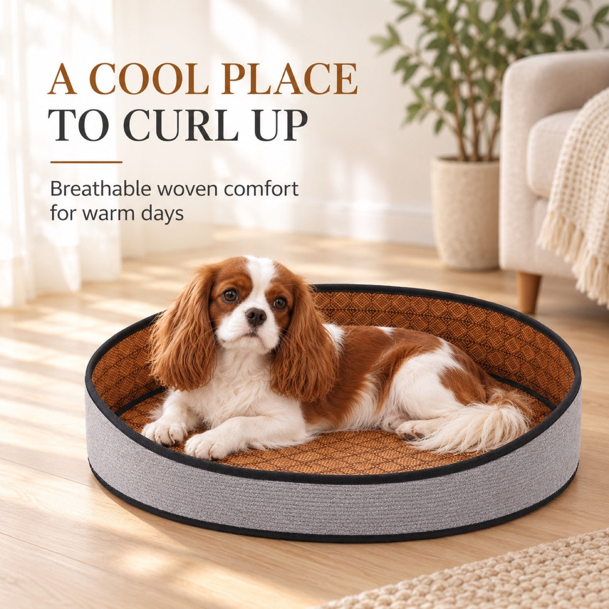 Woven Cooling Pet Bed, 4 Colors & 3 Sizes, By GAVPEPY image 2 - 1.jpg