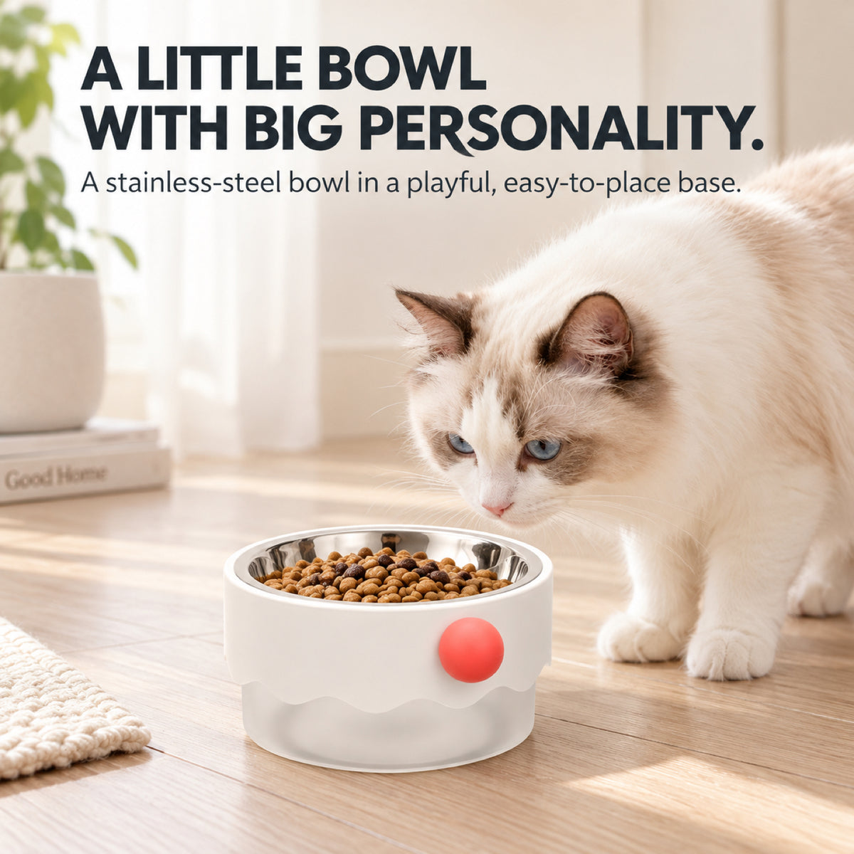 GAVPEPY Plastic Base Pet Bowl with Metal Insert, 18 x 18 x 9 cm, one pictured colorway, for Everyday Dog and Cat Meals or Water at Home, removable-looking round insert inside a wider outer base; a practical feeding setup for daily pet-care routines image 2 - 1.jpg