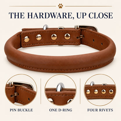 GAVPEPY Leather-style material Padded Dog Collar, Sizes S, M, L, XL, Brown, White, Black, for neighborhood walks, park visits and daily dog wear; an adjustable neckwear option for supervised walks and everyday outings image 3 - 2.jpg