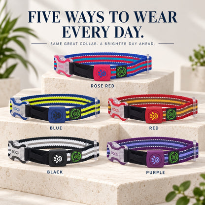 GAVPEPY Recycled webbing and braided nylon Reflective Woven Dog Collar, Sizes S, M, L, 5 color or pattern options, for neighborhood walks, park visits and daily dog wear; an adjustable neckwear option for supervised walks and everyday outings image 3 - 2.jpg