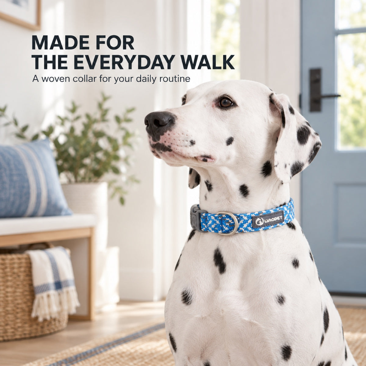 GAVPEPY Nylon Reflective Patterned Dog Collar, Sizes XS, S, M, L, 6 color or pattern options, for neighborhood walks, park visits and daily dog wear; an adjustable neckwear option for supervised walks and everyday outings image 3 - 2.jpg