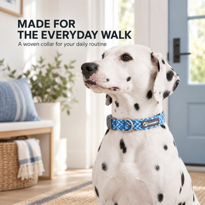 GAVPEPY Nylon Reflective Patterned Dog Collar, Sizes XS, S, M, L, 6 color or pattern options, for neighborhood walks, park visits and daily dog wear; an adjustable neckwear option for supervised walks and everyday outings image 3 - 2.jpg