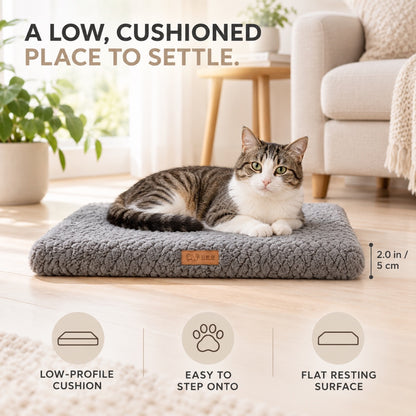 Removable-Cover Foam Pet Bed Mat, 4 Colors & 5 Sizes, By GAVPEPY image 3 - 2.jpg
