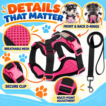 Breathable Mesh Dog Harness and Leash Set, 6 Colors and 4 Sizes, By GAVPEPY image 3 - 2.jpg